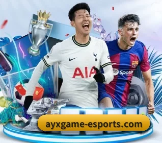 五大服务分区,信息按项目分类 - ayx