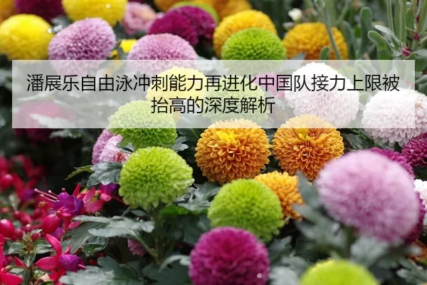 潘展乐自由泳冲刺能力再进化中国队接力上限被抬高的深度解析