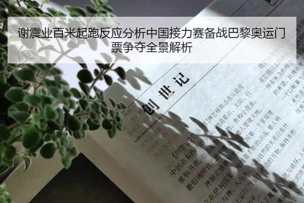 谢震业百米起跑反应分析中国接力赛备战巴黎奥运门票争夺全景解析