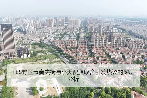 TES野区节奏失衡与小天资源取舍引发热议的深层分析 | ayx
