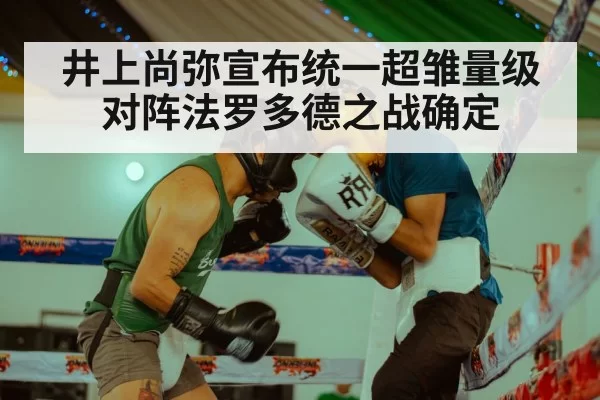 Naoya Inoue boxing unification