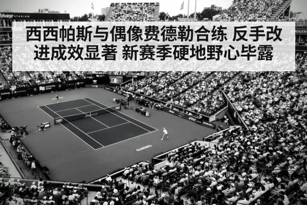 西西帕斯与偶像费德勒合练 反手改进成效显著 新赛季硬地野心毕露 - aiyouxi