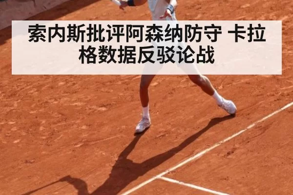 索内斯批评阿森纳防守 卡拉格数据反驳论战 - aiyouxi